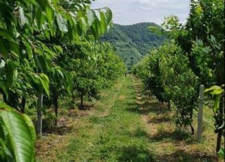 Продам земельный участок, 800 сот., Баксан