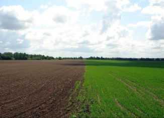 Продам земельный участок, 260 сот., село Глубокий Яр