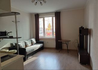 Продажа квартиры студии, 27.8 м2, Кудрово, ЖК Вернисаж, Пражская улица, 9