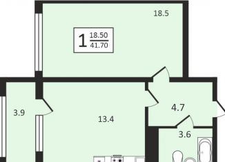 1-комнатная квартира на продажу, 41.7 м2, Воронежская область