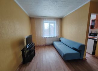 1-комнатная квартира в аренду, 30 м2, Елизово, улица Ленина, 26