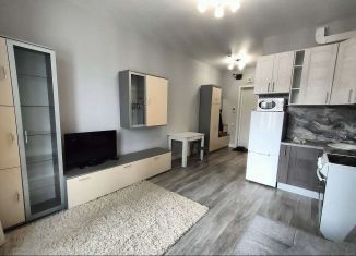 Сдаю в аренду квартиру студию, 23 м2, Москва, Амурская улица, 1Ак4, ВАО