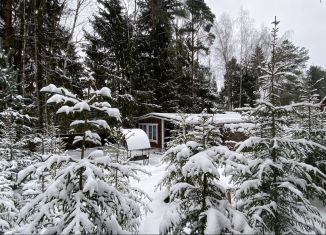 Сдам дом, 42 м2, Московская область, СНТ Ивушка, 91