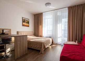 Сдам квартиру студию, 30 м2, Санкт-Петербург, Торфяная дорога, 17к6, метро Комендантский проспект