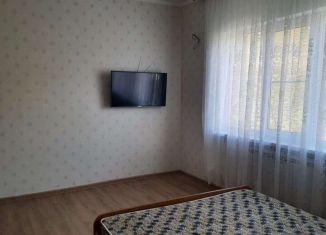 Сдам в аренду 1-ком. квартиру, 33 м2, село Барановка, Речной переулок, 8Б