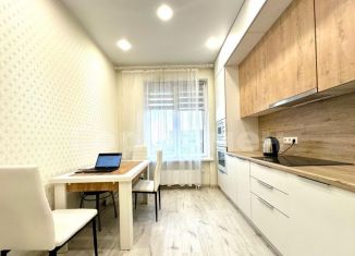 Сдается 2-ком. квартира, 60 м2, Москва, Амурская улица, 1Ак5, ВАО