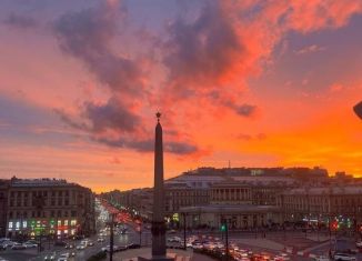 Продаю квартиру студию, 10 м2, Санкт-Петербург, Невский проспект, 87/2, метро Площадь Восстания