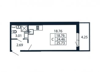 Квартира на продажу студия, 28.7 м2, Ленинградская область, Ручьёвский проспект, 20