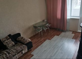 Сдается квартира студия, 28 м2, Новосибирск, улица Героев Революции, 21