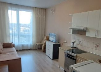 Квартира на продажу студия, 23.6 м2, Кемерово, улица Дружбы, 30/8