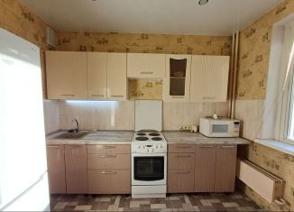 Аренда 2-комнатной квартиры, 50 м2, Красноярский край, Светлогорский переулок, 10