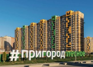 Квартира в аренду студия, 25 м2, посёлок городского типа Мисайлово, Пригородное шоссе, 10