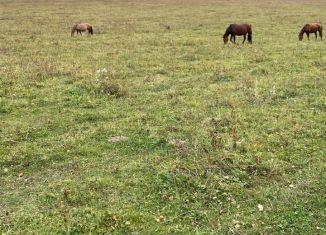 Участок на продажу, 11 сот., Республика Алтай, Центральная улица, 41