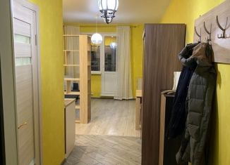 Продается квартира студия, 27 м2, деревня Голубое, Сургутский проезд, 1к1, ЖК Первый Зеленоградский