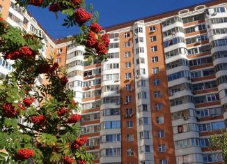 Сдам в аренду 1-комнатную квартиру, 48 м2, Москва, Полярная улица, 8, метро Бабушкинская