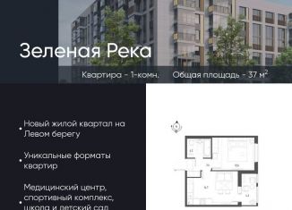 Продается 1-ком. квартира, 37 м2, Омская область, микрорайон Зелёная Река, 1