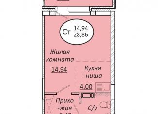 Продажа квартиры студии, 28.9 м2, Новосибирск, метро Золотая Нива