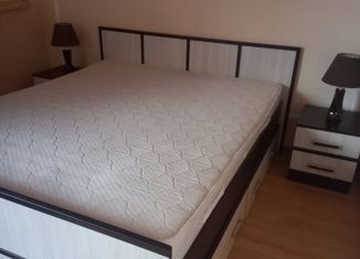 Сдается коттедж, 120 м2, Белгородская область, площадь Победы