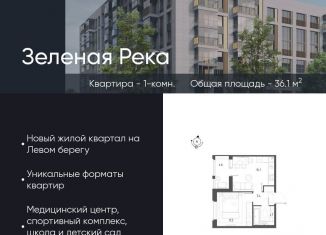 Продажа 1-ком. квартиры, 36.1 м2, Омская область, микрорайон Зелёная Река, 1