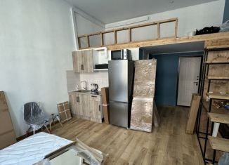 Продам квартиру студию, 21 м2, Санкт-Петербург, Кирочная улица, 11