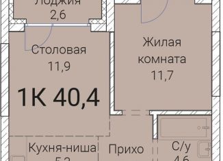 Продаю 1-комнатную квартиру, 40.4 м2, Новосибирск, Овражная улица, 2А, Заельцовский район