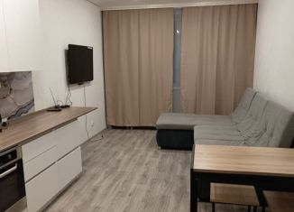 Сдам в аренду квартиру студию, 27.6 м2, Абакан, улица Кирова, 185к2