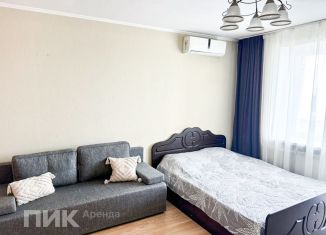 Сдам в аренду 1-ком. квартиру, 40 м2, Ростов-на-Дону, Пролетарский район, улица 11-я Линия, 53