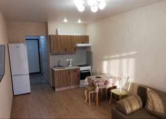 Сдается квартира студия, 27 м2, Анапа, улица Ленина, 185Ак3