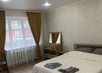 Сдаю в аренду квартиру студию, 29 м2, Черкесск, Парковая улица, 9