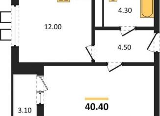 Продаю 1-комнатную квартиру, 40.4 м2, Воронеж, улица Шишкова, 140Б/6, Центральный район