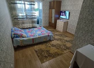 Сдача в аренду 1-ком. квартиры, 40 м2, Новгородская область, Центральная улица, 28