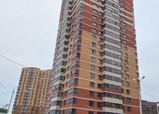 Сдам 1-ком. квартиру, 42 м2, село Осиновая Гора, улица Аркадия Шипунова, 12