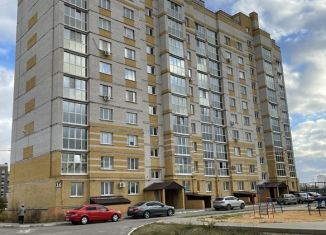 Сдаю в аренду 1-комнатную квартиру, 42 м2, Елец, микрорайон Александровский, 16