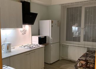 Сдается 1-ком. квартира, 30.5 м2, Санкт-Петербург, улица Маршала Тухачевского, 9, улица Маршала Тухачевского