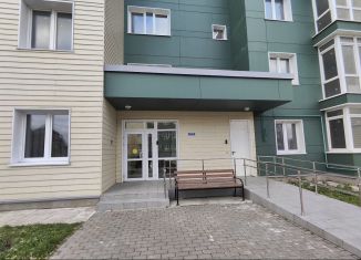 Продается 1-ком. квартира, 48 м2, деревня Болтино, улица Баздырева, 3