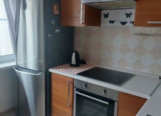 Аренда 1-комнатной квартиры, 35 м2, Санкт-Петербург, проспект Художников, метро Проспект Просвещения