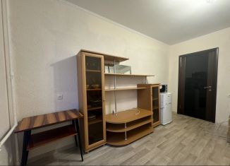 Сдам в аренду квартиру студию, 16 м2, Казань, улица Чишмяле, 15