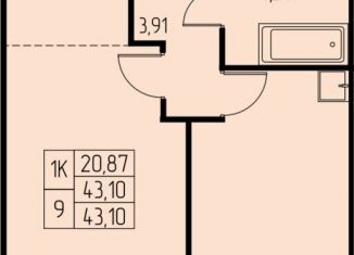Продажа однокомнатной квартиры, 43.1 м2, Ивантеевка, микрорайон Дружный, 14