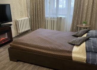 1-ком. квартира в аренду, 42 м2, Уфа, улица Степана Злобина, 5