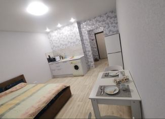 Квартира в аренду студия, 30 м2, Клин, улица Чайковского, 105к3