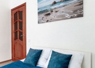 Сдается 2-ком. квартира, 48 м2, Петергоф, Санкт-Петербургский проспект, 48