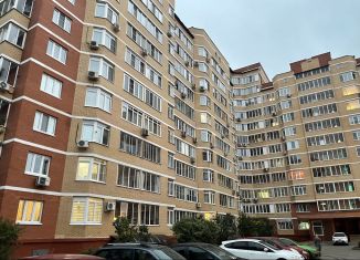 Продается 1-ком. квартира, 47.2 м2, поселок Знамя Октября, микрорайон Родники, 3