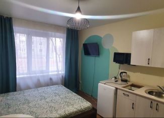 Квартира в аренду студия, 25 м2, Абакан, улица Кати Перекрещенко, 15