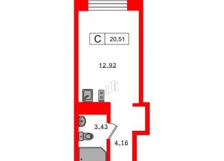 Продаю квартиру студию, 20.5 м2, Санкт-Петербург, Петроградский район, Ремесленная улица, 17