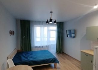 Квартира в аренду студия, 25 м2, деревня Писковичи, улица Гецентова, 6