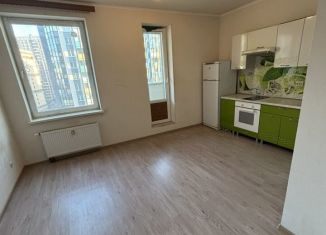 Квартира в аренду студия, 26 м2, Кудрово, Пражская улица, 9