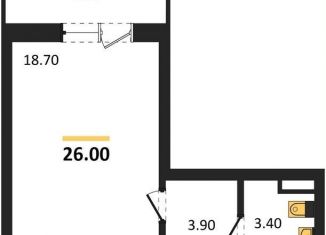 Продается квартира студия, 26 м2, Новосибирск