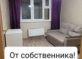 1-ком. квартира в аренду, 33 м2, Нижний Новгород, Южный бульвар, 19