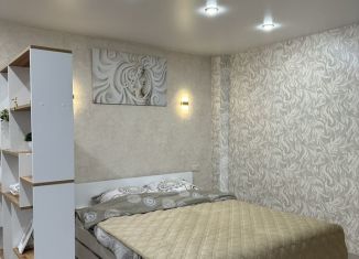 Сдается квартира студия, 36 м2, Курск, улица Ленина, 94