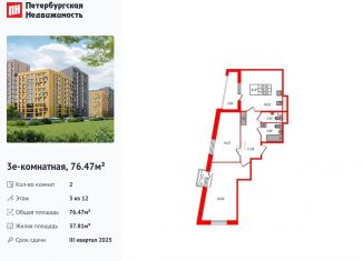 Продаю 2-комнатную квартиру, 76.5 м2, Санкт-Петербург, метро Озерки